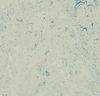 Forbo (MASP3429) product