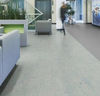 Forbo (MASP3429) room_scene