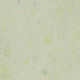 Marmoleum Roll Splash Salsa Verde 6.58' - 2.5 mm (Sold in Sqyd)
