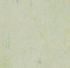 Forbo (MASP3430) product