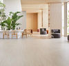 Forbo (MAST5253) room_scene