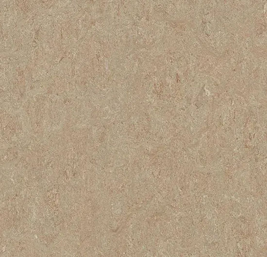 Marmoleum Roll Terra Weathered Sand 6.58' - 2.5 mm (Sold in Sqyd)
