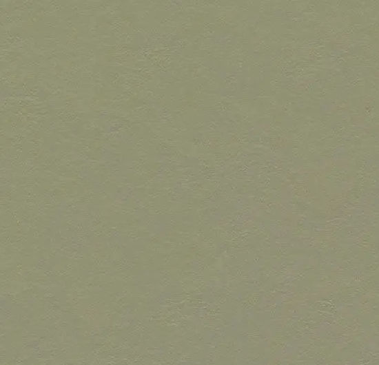 Rouleau de marmoléum Walton Rosemary Green 6.58' - 2.5 mm (vendu en vg²)