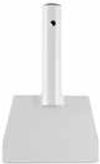Raimondi (34715) product