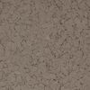 Torginol (TOF100018-40) product