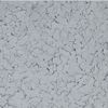 Torginol (TOF990318-40) product