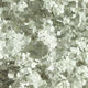 Flocons pour epoxy MicaFlakes Micro M1010 Silver 10 lb 8-20 mailles