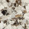 Torginol (TORMB500148-10) product