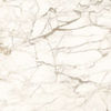 Centura (6SK75575) product