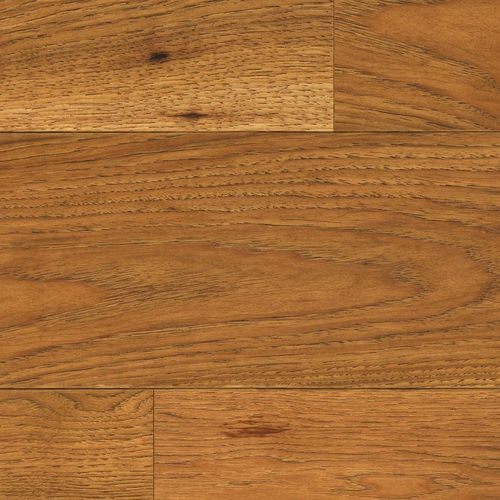 9f513515-b957-11ef-818b-