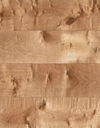 Fuzion (CGSQSN84220BTL874) color