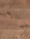 Fuzion (CGSQSN84220MDE874) color