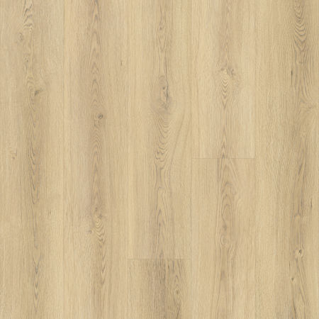 a26d6446-e895-11ef-b221-