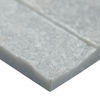 MSI Surfaces (LPNLMCOSGRY624) angle_view