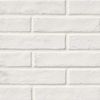 MSI Surfaces (NCAPWHIBRI2X10) product
