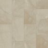 MSI Surfaces (NSANCRE1224P) product