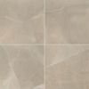 MSI Surfaces (NSANCRE2424P) product