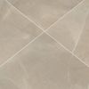 MSI Surfaces (NSANCRE2424P) product