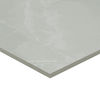 MSI Surfaces (NSANGRE2448) product