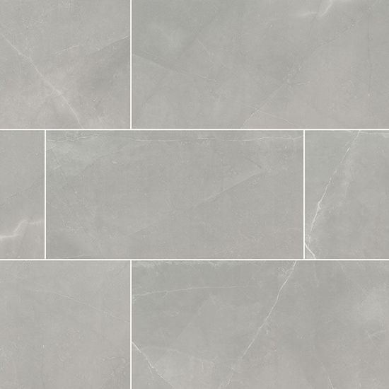 Floor Tiles Sande Gray-Dark Polished 24" x 48"