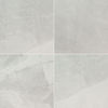 MSI Surfaces (NSANIVO2424) product