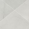 MSI Surfaces (NSANIVO2424P) product