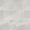 MSI Surfaces (NSANIVO2448) product