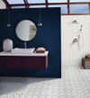MSI Surfaces (SMOT-BIANDOL-DOTP) room_scene