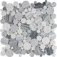 Mosaic Alaska Gray-Dark Polished 12" x 12"