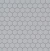 MSI Surfaces (SMOT-PT-RETGRA-2HEX) product