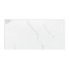 MSI Surfaces (VTRCALMAR12X24-5MM-12MIL) product