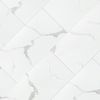 MSI Surfaces (VTRCALMAR12X24-5MM-12MIL) product