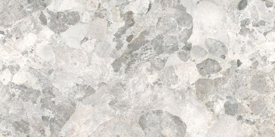 Floor Tile Larocca Grey Matte 24" x 48"