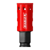 Diablo (DHS1000DG) product