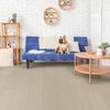 Biyork (BYKN6AOSC) room_scene