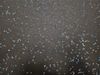Perfect Surfaces (VERSA381403) product