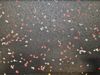 Perfect Surfaces (VERSA381404) product