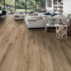 Planchers 1867 (5420419) room_scene