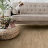 Planchers 1867 (5420530) room_scene
