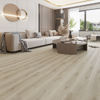 Planchers 1867 (5780150) room_scene