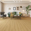 Planchers 1867 (5780160) room_scene