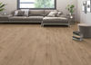 Planchers 1867 (54535912) room_scene