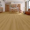 Planchers 1867 (57025100) room_scene