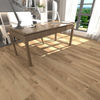 Planchers 1867 (57725710) room_scene