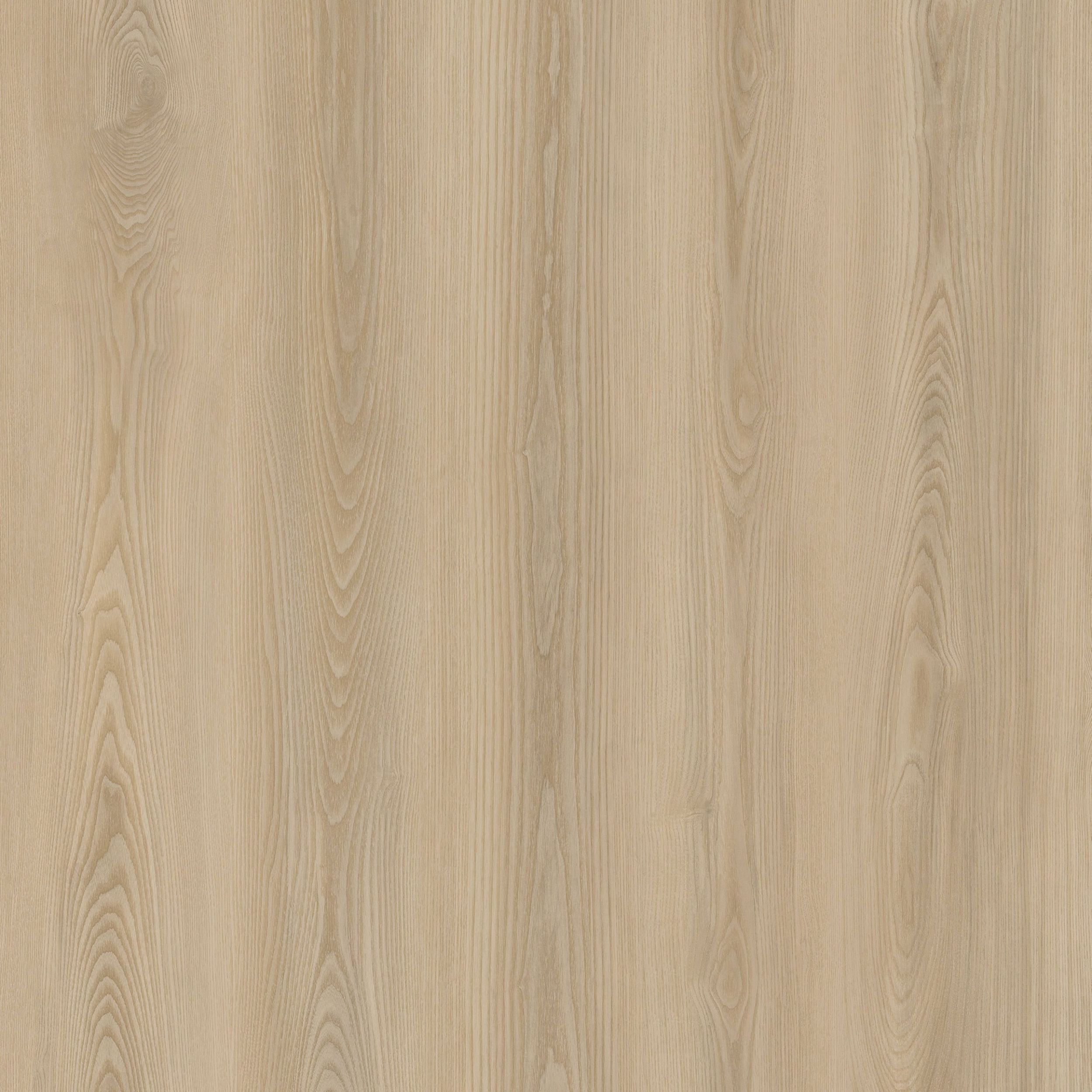 英12” Creation Take Us Back / Roots Rev RSL121 NOT ON LABEL /00250 Golf Shoes | Roots