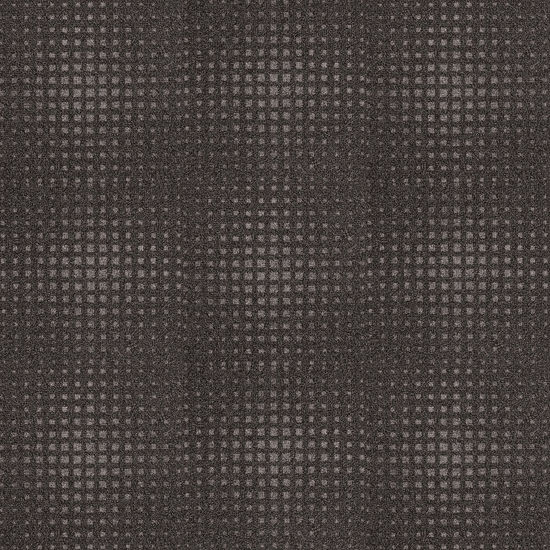Carpet Tile CleanStep Terra Firma 20" x 20"