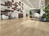 Torlys Smart Floors (RW-FME563) room_scene