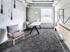 Standard Carpets (MIDLPA872) room_sceen