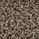 Broadloom Carpet Color Fusion I Driftwood 12' (Sold in Sqyd)