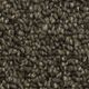 Broadloom Carpet Pure Admiration Perfect Taupe 15' (Sold in Sqyd)
